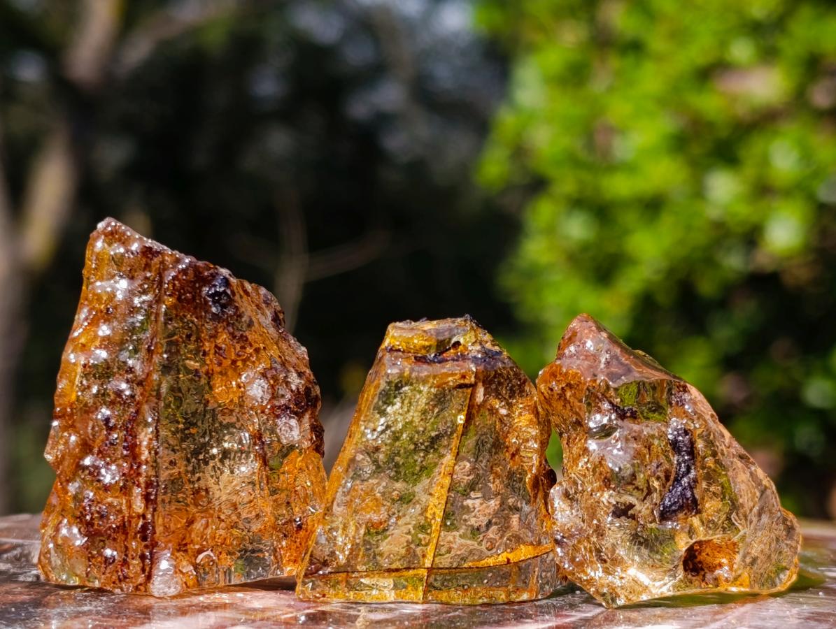 Natural Copal Amber Specimens with Insect and Plant Inclusions x 35 From Lemur Island, Madagascar - Toprock Gemstones and Minerals 
