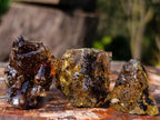 Natural Copal Amber Specimens with Insect and Plant Inclusions x 35 From Lemur Island, Madagascar - Toprock Gemstones and Minerals 