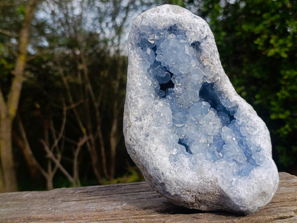 Natural Cabinet Size Blue Celestite Geode Specimen x 1 From Sakoany, Madagascar - Toprock Gemstones and Minerals 