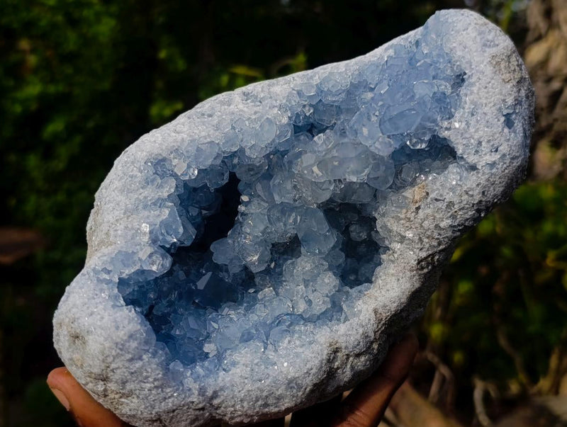Natural Cabinet Size Blue Celestite Geode Specimen x 1 From Sakoany, Madagascar - Toprock Gemstones and Minerals 