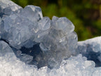 Natural Cabinet Size Blue Celestite Geode Specimen x 1 From Sakoany, Madagascar - Toprock Gemstones and Minerals 