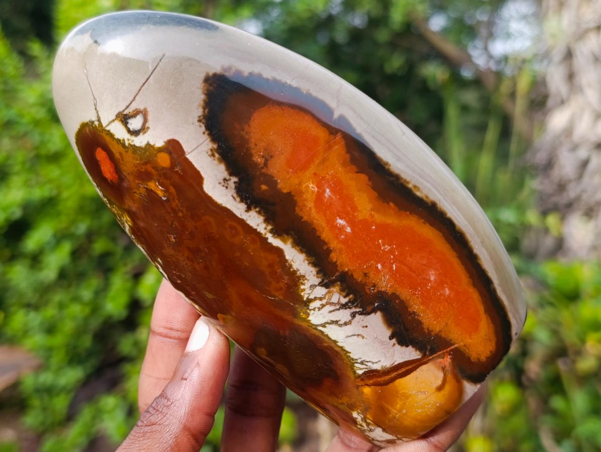 Polished Polychrome Jasper Standing Display Pieces x 4 From NW Coast, Madagascar - Toprock Gemstones and Minerals 