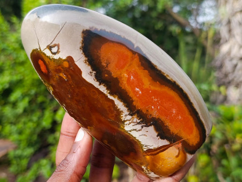 Polished Polychrome Jasper Standing Display Pieces x 4 From NW Coast, Madagascar - Toprock Gemstones and Minerals 