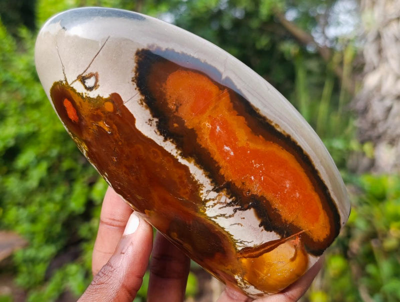 Polished Polychrome Jasper Standing Display Pieces x 4 From NW Coast, Madagascar - Toprock Gemstones and Minerals 