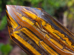 Polished Golden Tigers Eye Display Crystals x 3 From Prieska, South Africa - Toprock Gemstones and Minerals 