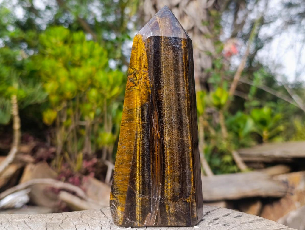 Polished Golden Tigers Eye Display Crystals x 3 From Prieska, South Africa - Toprock Gemstones and Minerals 