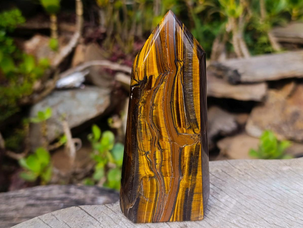 Polished Golden Tigers Eye Display Crystals x 3 From Prieska, South Africa - Toprock Gemstones and Minerals 