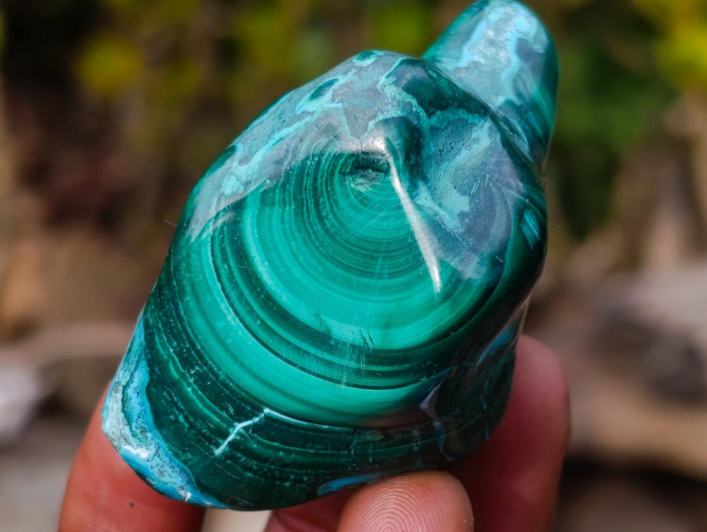 Polished Malacolla Free Forms x 12 From Kulukuluku, Congo - Toprock Gemstones and Minerals 