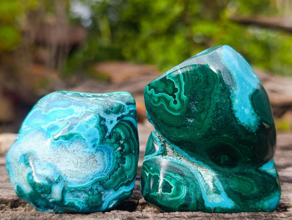 Polished Malacolla Free Forms x 12 From Kulukuluku, Congo - Toprock Gemstones and Minerals 