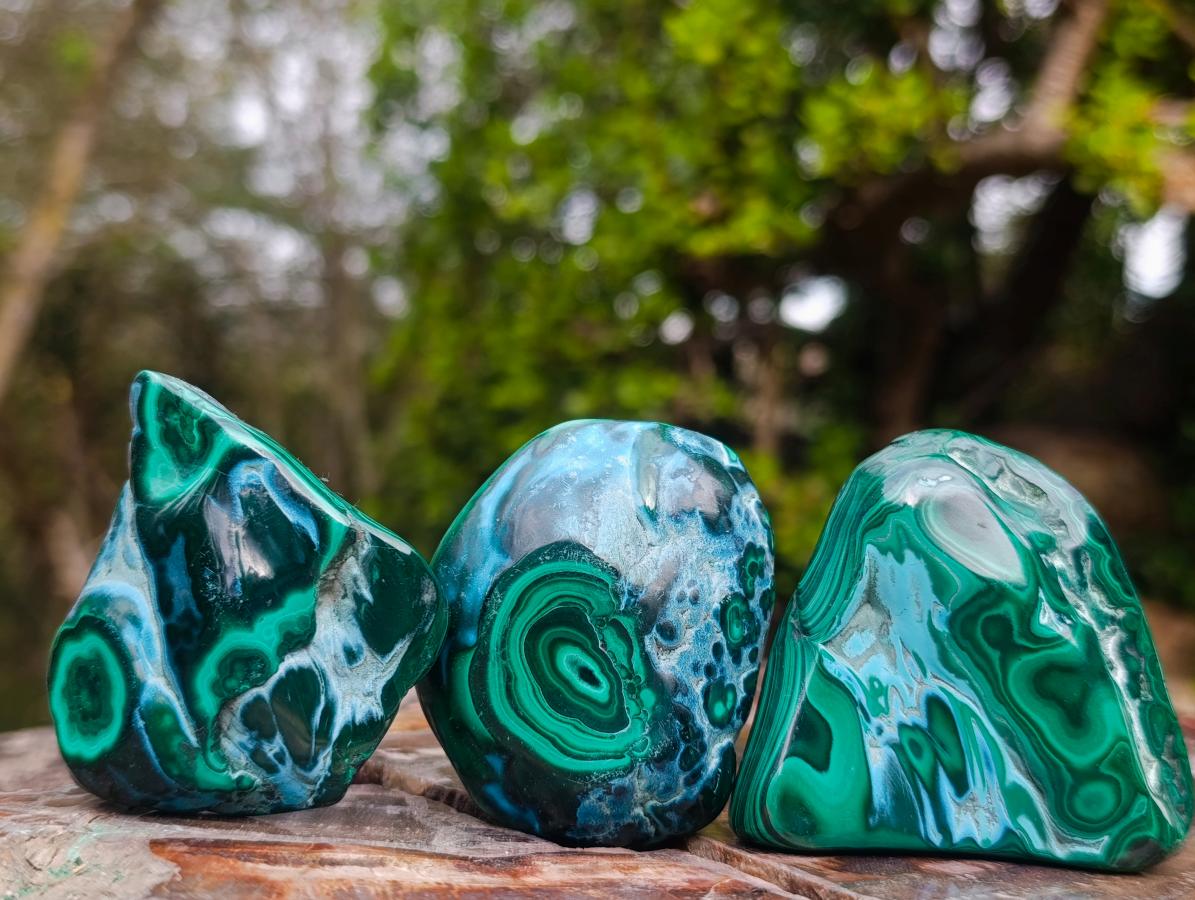 Polished Malacolla Free Forms x 12 From Kulukuluku, Congo - Toprock Gemstones and Minerals 