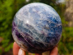 Polished Watermelon Fluorite Spheres x 2 From Uis, Namibia - Toprock Gemstones and Minerals 