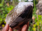 Polished Smokey Window Quartz Display Crystals x 2 From Akansobe, Madagascar - Toprock Gemstones and Minerals 