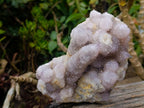 Natural Spirit Amethyst Clusters x 2 From Boekenhouthoek, South Africa - Toprock Gemstones and Minerals 