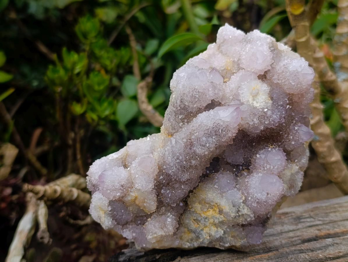Natural Spirit Amethyst Clusters x 2 From Boekenhouthoek, South Africa - Toprock Gemstones and Minerals 