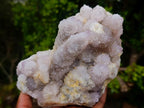Natural Spirit Amethyst Clusters x 2 From Boekenhouthoek, South Africa - Toprock Gemstones and Minerals 