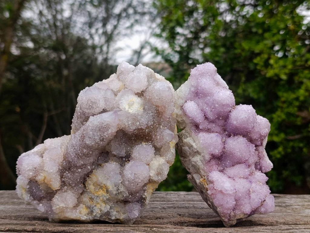 Natural Spirit Amethyst Clusters x 2 From Boekenhouthoek, South Africa - Toprock Gemstones and Minerals 