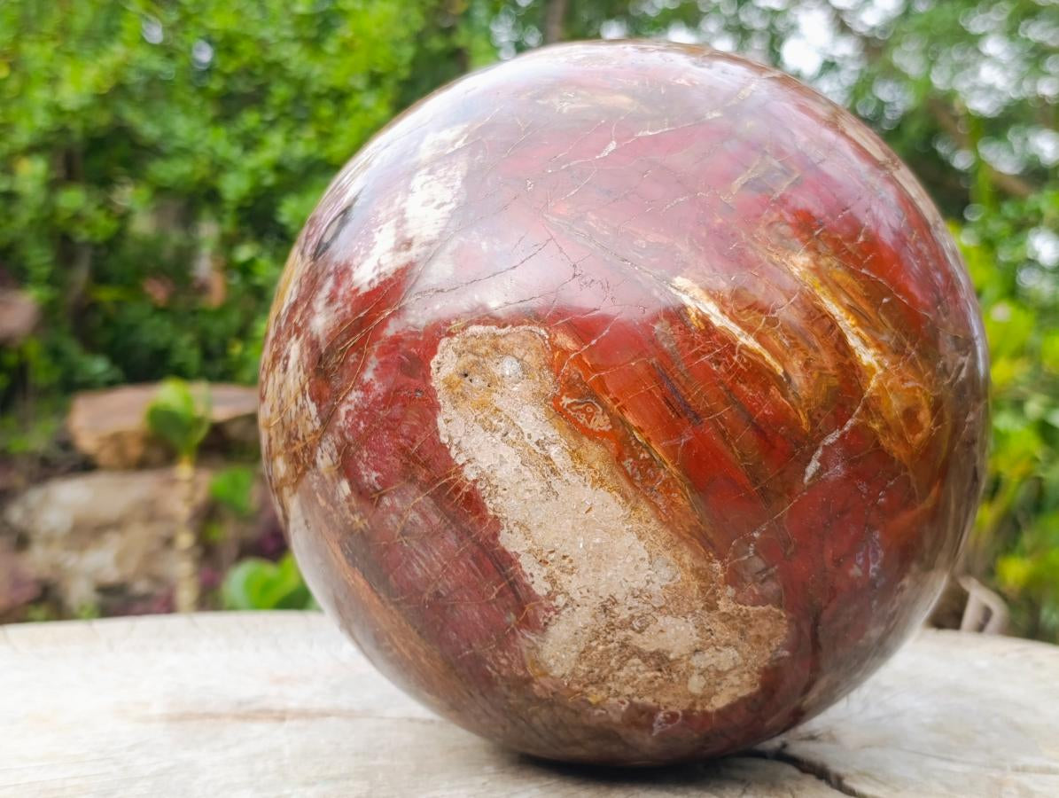 Polished XL Red Podocarpus Petrified Wood Sphere x 1 From Mahajanga, Madagascar - Toprock Gemstones and Minerals 