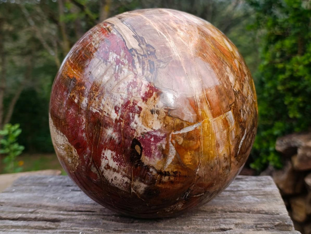Polished XL Red Podocarpus Petrified Wood Sphere x 1 From Mahajanga, Madagascar - Toprock Gemstones and Minerals 