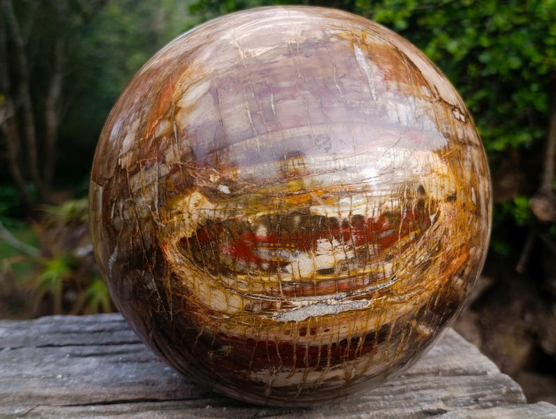 Polished XL Red Podocarpus Petrified Wood Sphere x 1 From Mahajanga, Madagascar - Toprock Gemstones and Minerals 