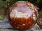 Polished XL Red Podocarpus Petrified Wood Sphere x 1 From Mahajanga, Madagascar - Toprock Gemstones and Minerals 