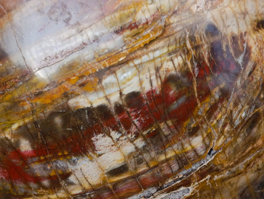 Polished XL Red Podocarpus Petrified Wood Sphere x 1 From Mahajanga, Madagascar - Toprock Gemstones and Minerals 