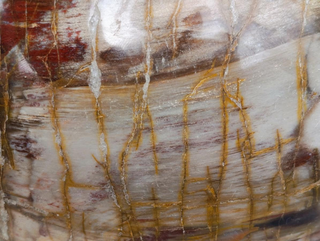 Polished XL Red Podocarpus Petrified Wood Sphere x 1 From Mahajanga, Madagascar - Toprock Gemstones and Minerals 