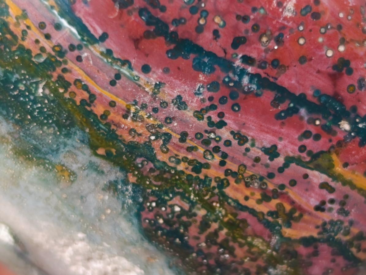 Polished Rare Ocean Jasper Galets x 24 From Northwest Coast, Madagascar - Toprock Gemstones and Minerals 