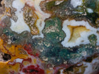 Polished Rare Ocean Jasper Galets x 24 From Northwest Coast, Madagascar - Toprock Gemstones and Minerals 