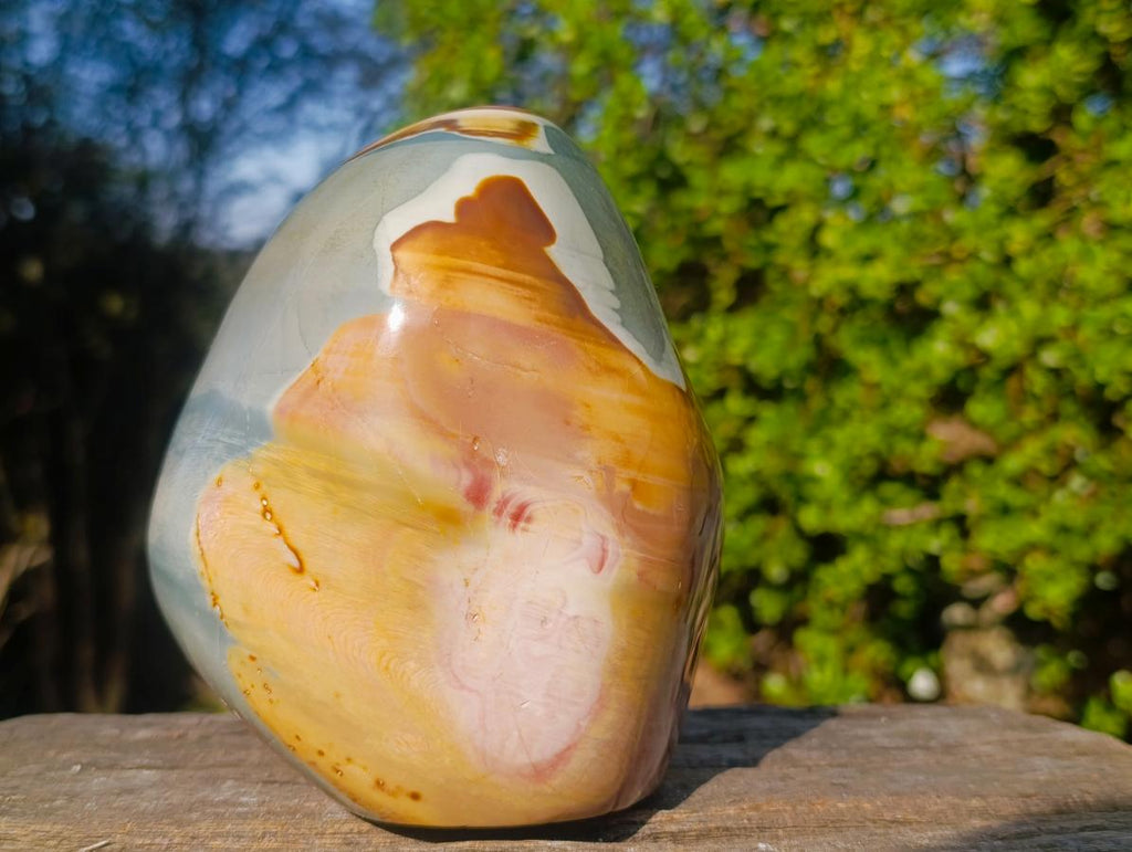 Polished Large Polychrome Jasper Standing Display Piece x 1 From NW Coast, Madagascar - Toprock Gemstones and Minerals 