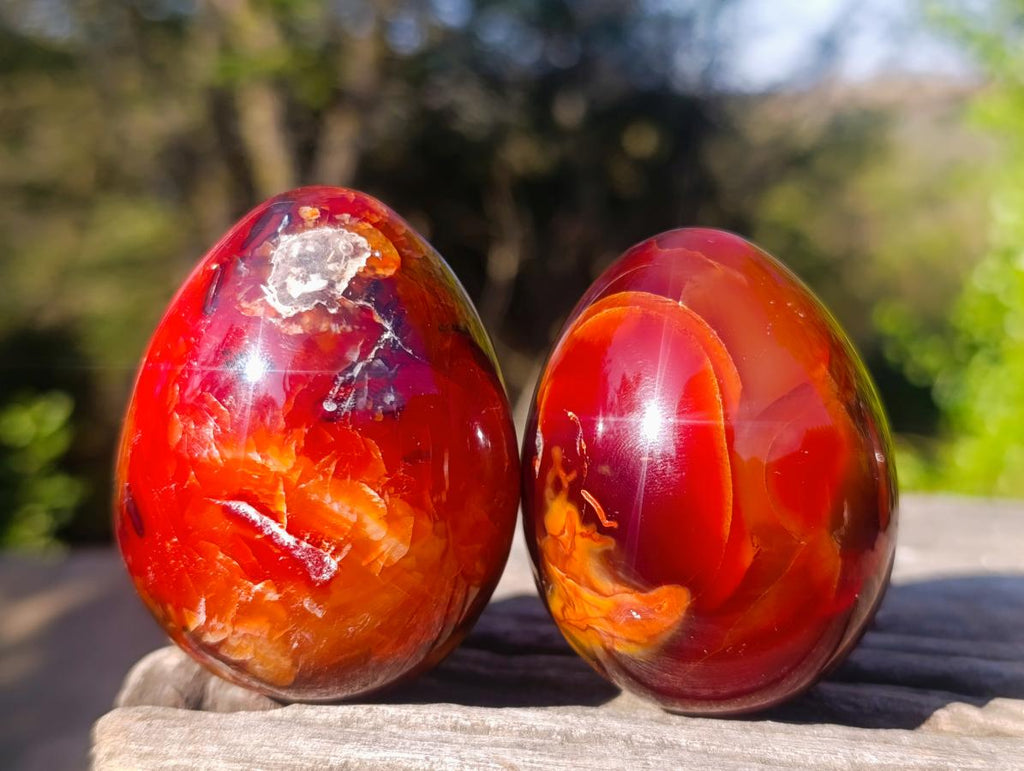 Polished Carnelian Agate Gemstone Eggs x 6 From Madagascar - Toprock Gemstones and Minerals 