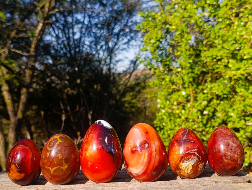 Polished Carnelian Agate Gemstone Eggs x 6 From Madagascar - Toprock Gemstones and Minerals 