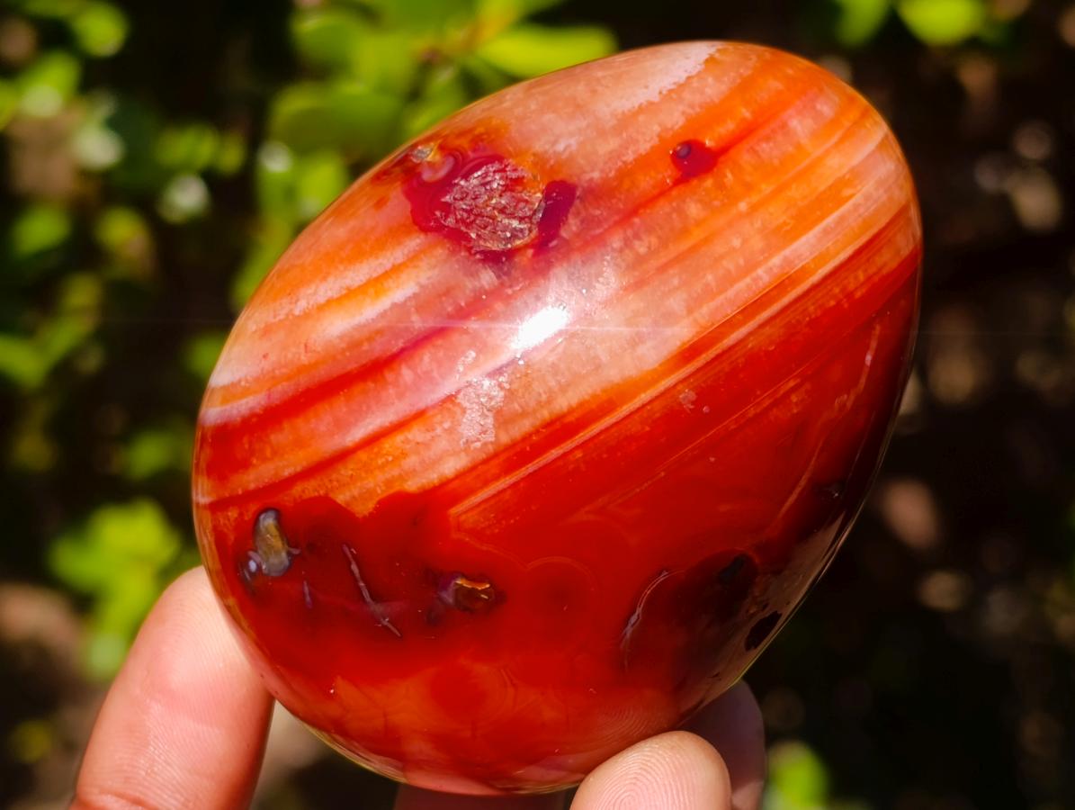 Polished Carnelian Agate Gemstone Eggs x 6 From Madagascar - Toprock Gemstones and Minerals 