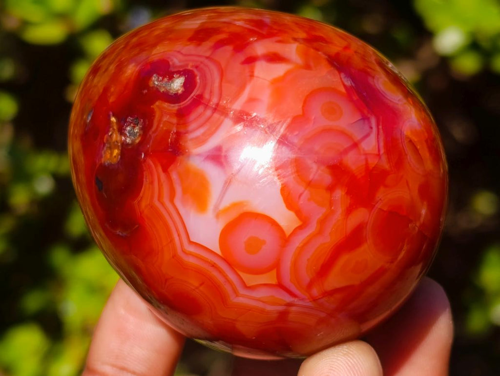Polished Carnelian Agate Gemstone Eggs x 6 From Madagascar - Toprock Gemstones and Minerals 
