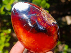 Polished Carnelian Agate Gemstone Eggs x 6 From Madagascar - Toprock Gemstones and Minerals 