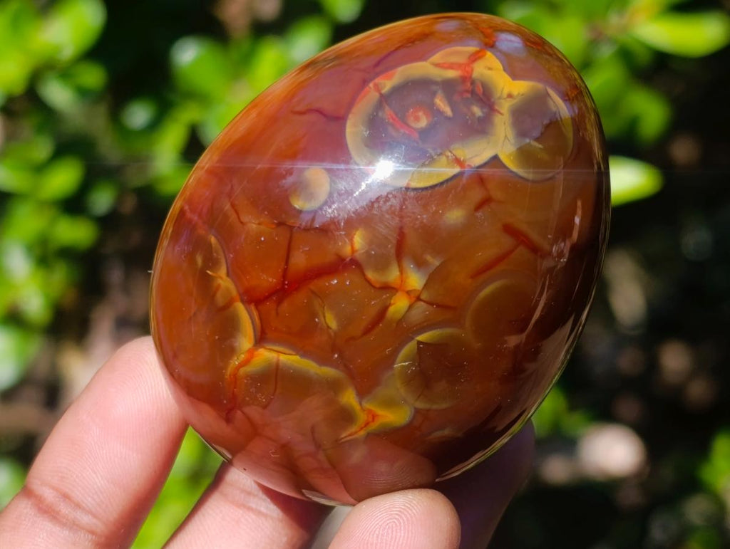 Polished Carnelian Agate Gemstone Eggs x 6 From Madagascar - Toprock Gemstones and Minerals 
