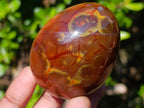 Polished Carnelian Agate Gemstone Eggs x 6 From Madagascar - Toprock Gemstones and Minerals 