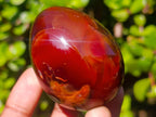 Polished Carnelian Agate Gemstone Eggs x 6 From Madagascar - Toprock Gemstones and Minerals 