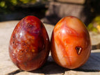 Polished Carnelian Agate Gemstone Eggs x 6 From Madagascar - Toprock Gemstones and Minerals 
