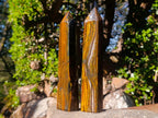 Polished Golden Tigers Eye Display Crystals x 3 From Prieska, South Africa - Toprock Gemstones and Minerals 
