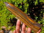 Polished Golden Tigers Eye Display Crystals x 3 From Prieska, South Africa - Toprock Gemstones and Minerals 