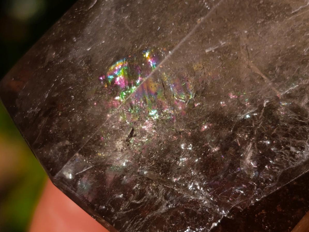 Polished Smokey Quartz Display Crystals x 6 From Madagascar - Toprock Gemstones and Minerals 