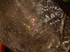 Polished Smokey Quartz Display Crystals x 6 From Madagascar - Toprock Gemstones and Minerals 