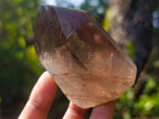 Polished Smokey Quartz Display Crystals x 6 From Madagascar - Toprock Gemstones and Minerals 