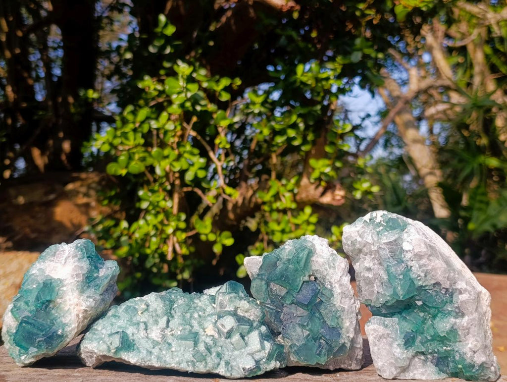 Natural Cabinet Size Green Cubic Fluorite Specimens x 4 From Mandrosonoro, Madagascar - Toprock Gemstones and Minerals 