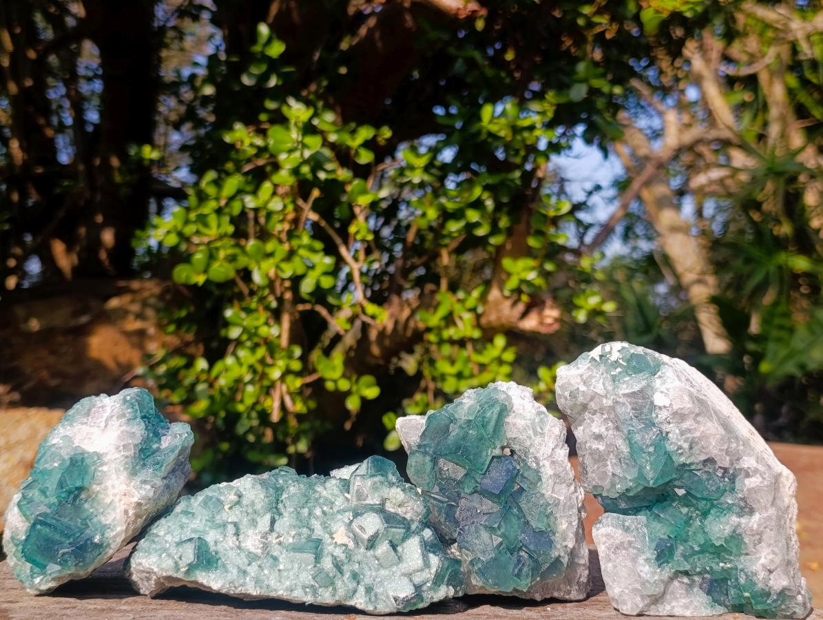 Natural Cabinet Size Green Cubic Fluorite Specimens x 4 From Mandrosonoro, Madagascar - Toprock Gemstones and Minerals 