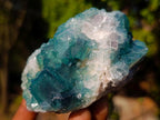 Natural Cabinet Size Green Cubic Fluorite Specimens x 4 From Mandrosonoro, Madagascar - Toprock Gemstones and Minerals 