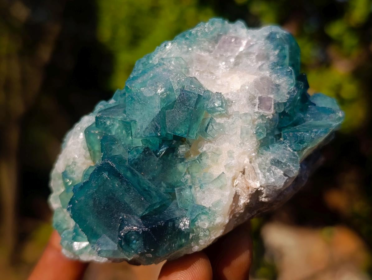 Natural Cabinet Size Green Cubic Fluorite Specimens x 4 From Mandrosonoro, Madagascar - Toprock Gemstones and Minerals 