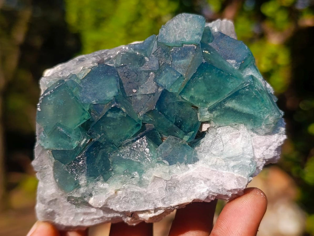 Natural Cabinet Size Green Cubic Fluorite Specimens x 4 From Mandrosonoro, Madagascar - Toprock Gemstones and Minerals 