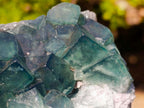 Natural Cabinet Size Green Cubic Fluorite Specimens x 4 From Mandrosonoro, Madagascar - Toprock Gemstones and Minerals 
