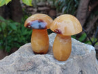 Polished Septerye Mushrooms x 12 From Mahajanga, Madagascar - Toprock Gemstones and Minerals 